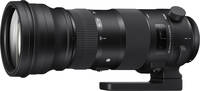 Sigma 150-600 mm F5-6.3 DG OS HSM Sports Sigma 150-600 mm F5-6.3 DG OS HSM Sports