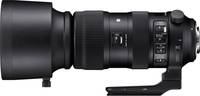 Sigma 60-600 mm F4.5-6.3 DG OS HSM Sports in schwarz mit Stativschelle und Gegenlichtblende von links