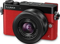 Panasonic Lumix DMC-GM5 in braun mit G Vario 12-32 mm von vorne links