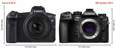 Größenvergleich: Canon EOS R vs. OM System OM-1 Größenvergleich: Canon EOS R vs. OM System OM-1