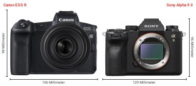Größenvergleich: Canon EOS R vs. Sony Alpha 9 II Größenvergleich: Canon EOS R vs. Sony Alpha 9 II
