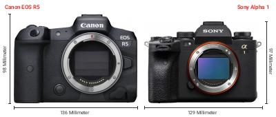 Größenvergleich: Canon EOS R5 vs. Sony Alpha 1 Größenvergleich: Canon EOS R5 vs. Sony Alpha 1