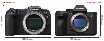 Größenvergleich: Canon EOS RP vs. Sony Alpha 7R V Größenvergleich: Canon EOS RP vs. Sony Alpha 7R V