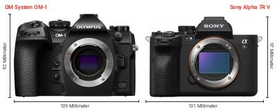 Größenvergleich: OM System OM-1 vs. Sony Alpha 7R V Größenvergleich: OM System OM-1 vs. Sony Alpha 7R V