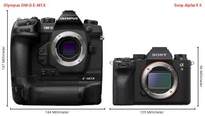 Größenvergleich: OM System OM-D E-M1X vs. Sony Alpha 9 II Größenvergleich: OM System OM-D E-M1X vs. Sony Alpha 9 II