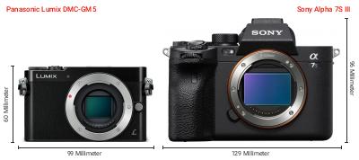 Größenvergleich: Panasonic Lumix DMC-GM5 vs. Sony Alpha 7S III Größenvergleich: Panasonic Lumix DMC-GM5 vs. Sony Alpha 7S III