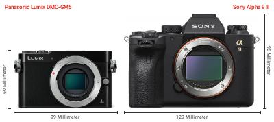 Größenvergleich: Panasonic Lumix DMC-GM5 vs. Sony Alpha 9 II Größenvergleich: Panasonic Lumix DMC-GM5 vs. Sony Alpha 9 II