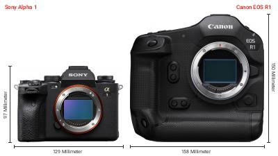 Größenvergleich: Sony Alpha 1 vs. Canon EOS R1 Größenvergleich: Sony Alpha 1 vs. Canon EOS R1