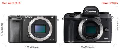 Größenvergleich: Sony Alpha 6000 vs. Canon EOS M5 Größenvergleich: Sony Alpha 6000 vs. Canon EOS M5