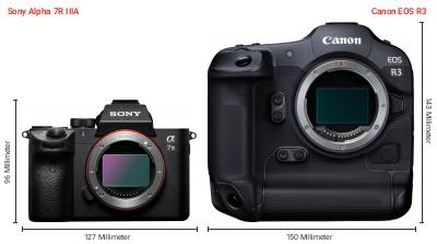 Größenvergleich: Sony Alpha 7R IIIA vs. Canon EOS R3 Größenvergleich: Sony Alpha 7R IIIA vs. Canon EOS R3