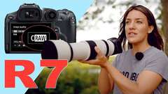 Wildlife Photography Tutorial with the Canon R7