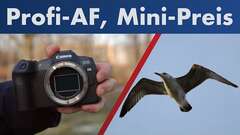 Canon EOS R8 | Die beste Vollformat-DSLM unter 2.000 Euro?