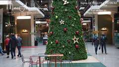 Sigma 24-70mm F2.8 DG DN Art on Sony A7RIV Sigma 24-70mm F2.8 DG DN Art on Sony A7RIV